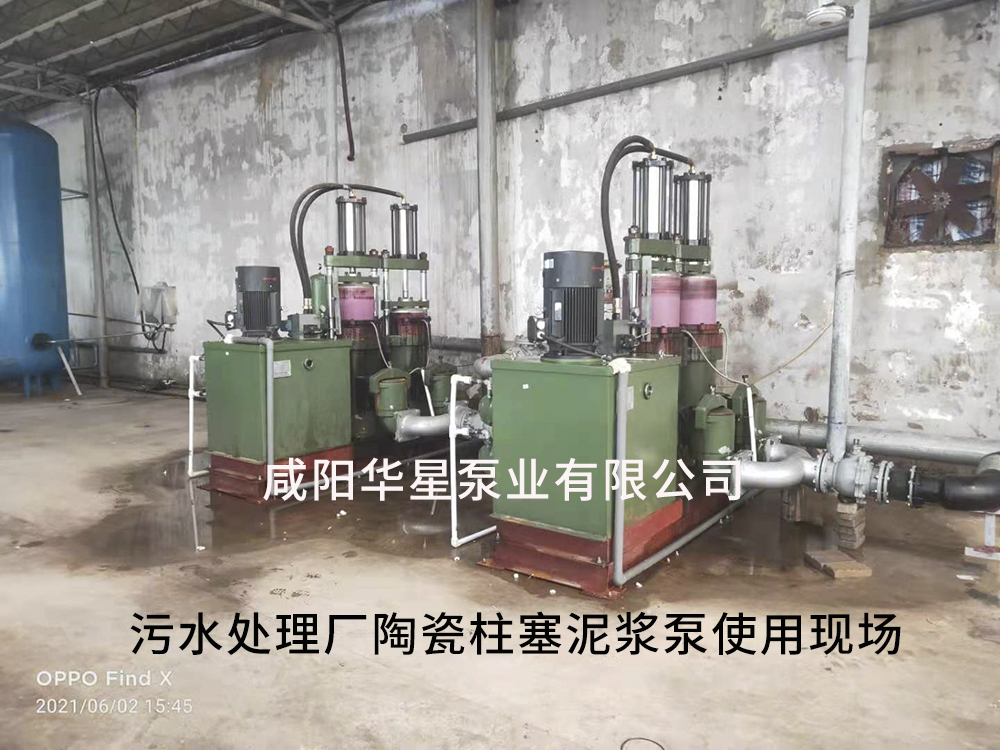 廣東(dōng)陶瓷柱塞(sāi)泵