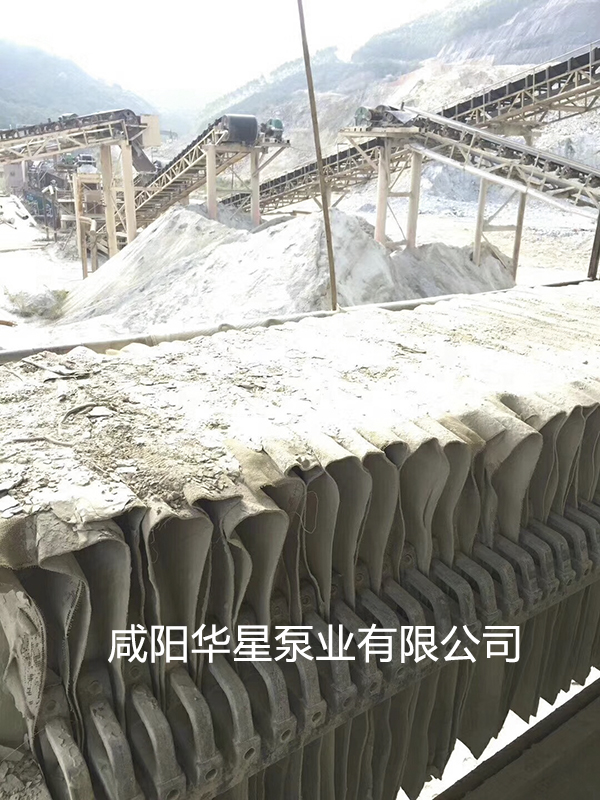 陶瓷柱(zhù)塞泵使用現場(chǎng)礦山開(kāi)采尾礦(kuàng)處理(lǐ)