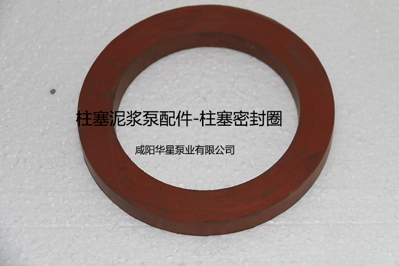 柱塞(sāi)密封圈