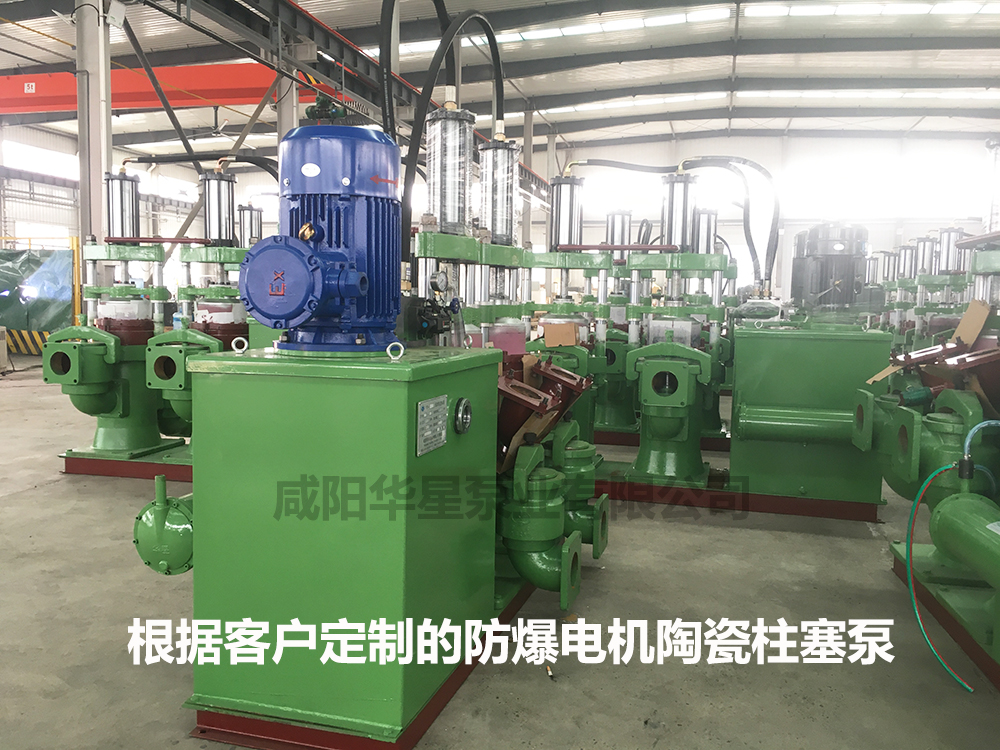 yb250型(xíng)防爆電機(jī)款陶(táo)瓷柱(zhù)塞(sāi)泵