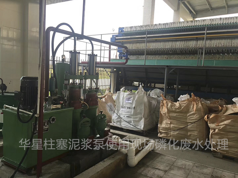 壓(yā)濾機入料(liào)泵有(yǒu)兩種密封形式(shì)